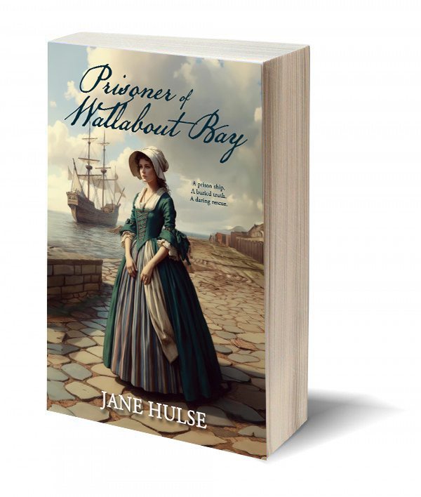Prisoner of Wallabout Bay by Jane Hulse
