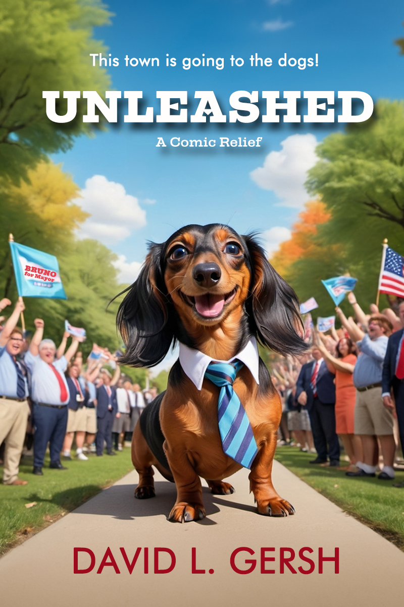 Unleashed: A Comic Relief by David L. Gersh